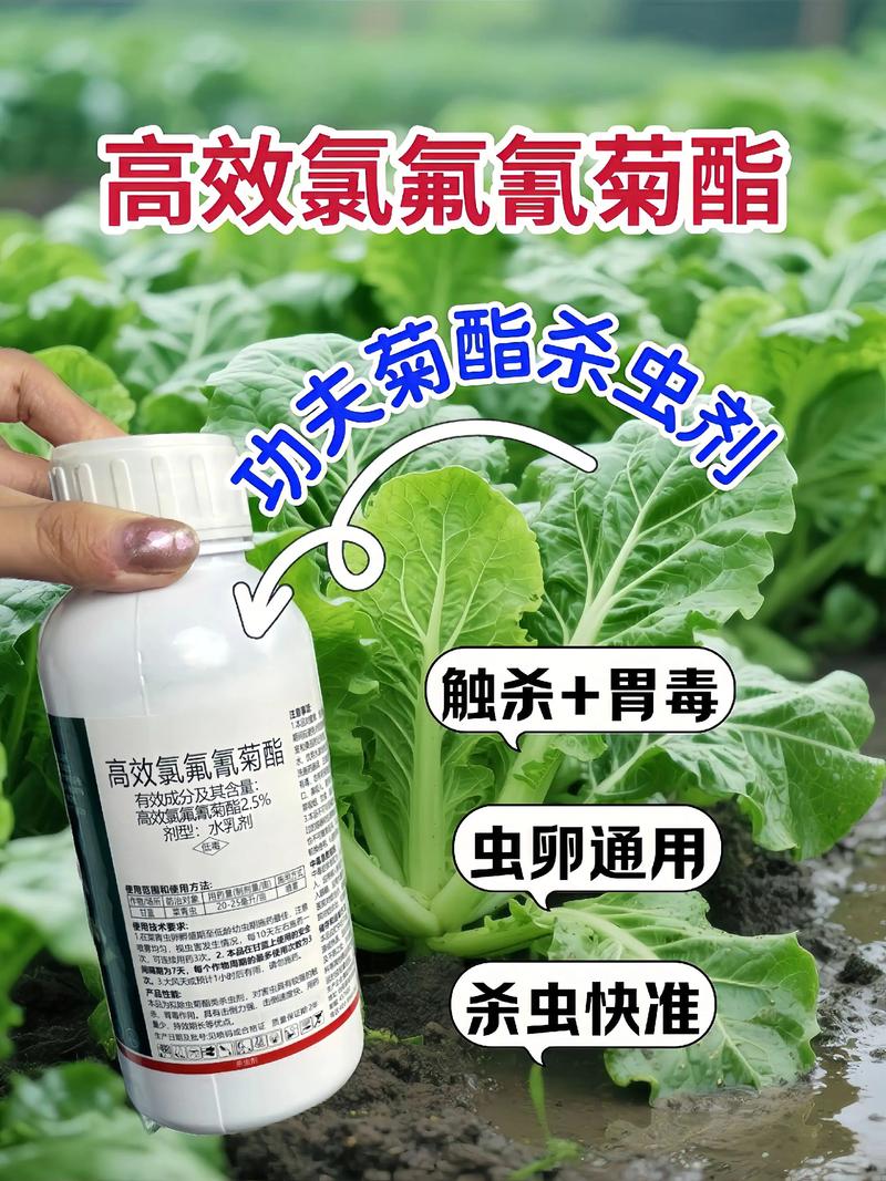 宁德代生中心:农药对供卵代生妈妈的危害